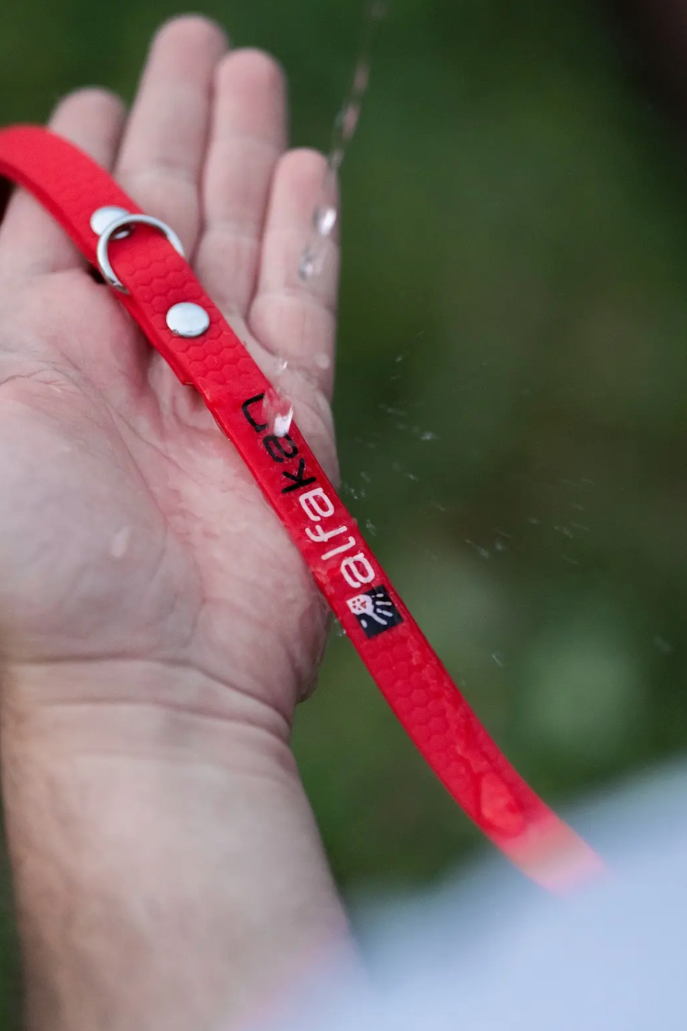 Alfakan hexa kratek povodec