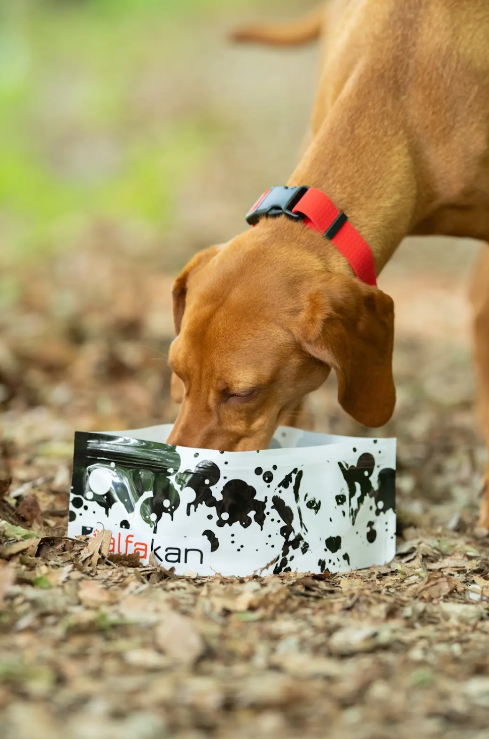 Zložljiva posodica za vodo