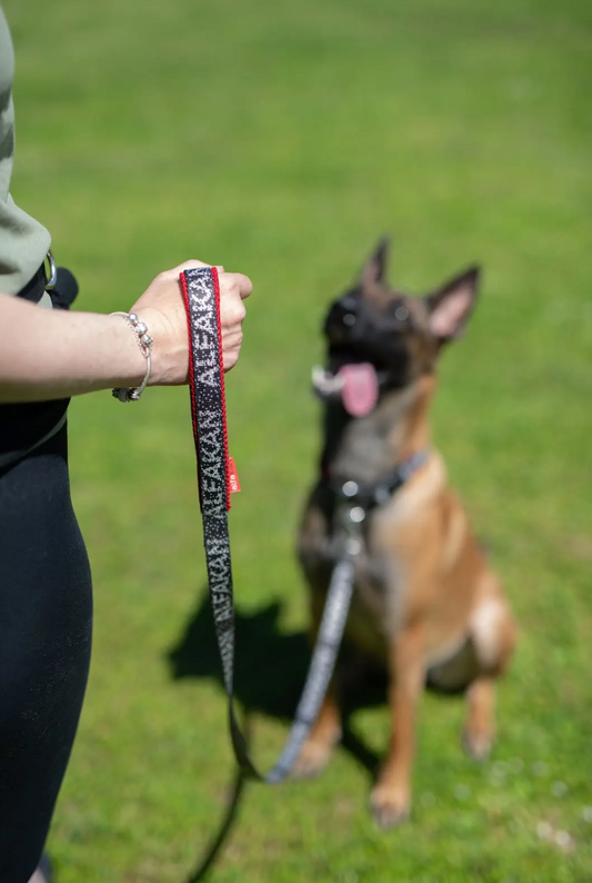 Alfakan kratek povodec