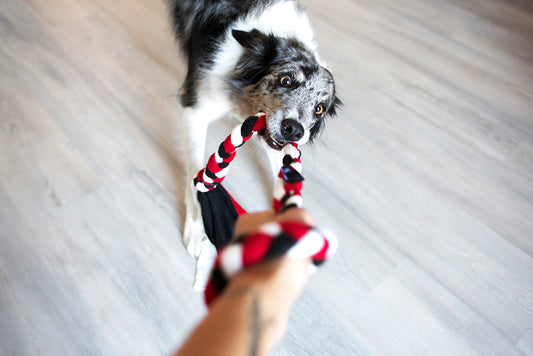 Alfakan igrača iz flisa