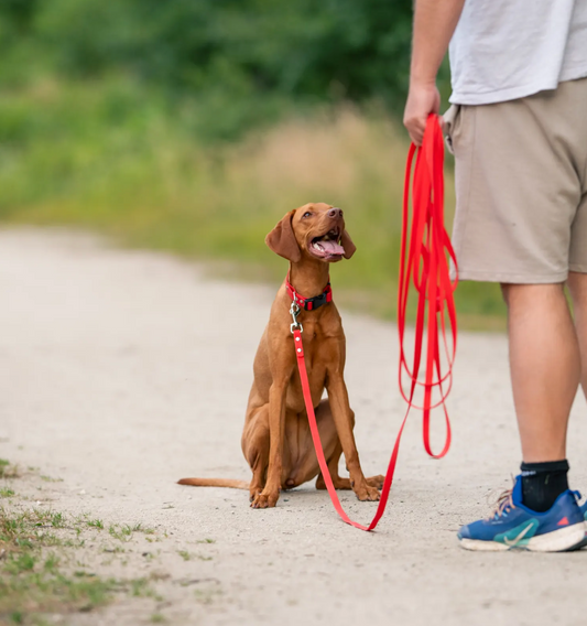 Alfakan hexa dolg povodec