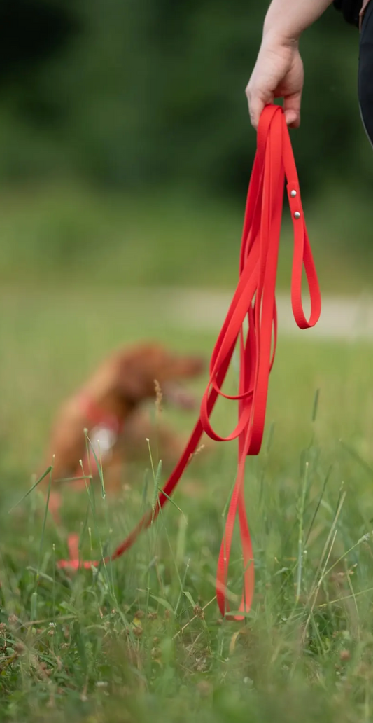 Alfakan hexa dolg povodec