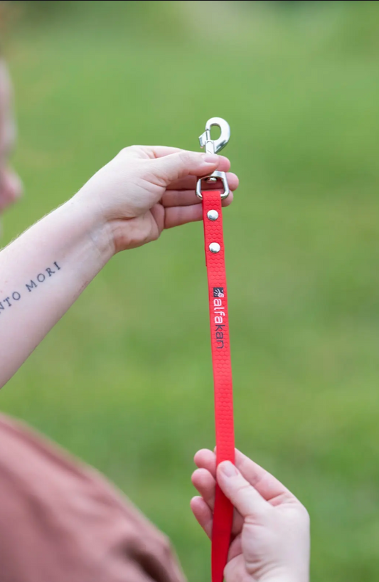 Alfakan hexa kratek povodec