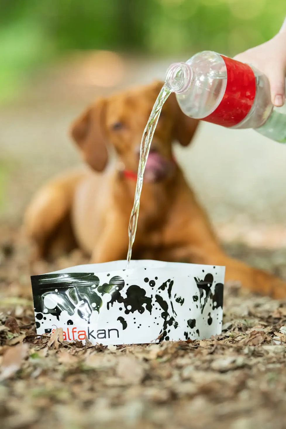 Zložljiva posodica za vodo