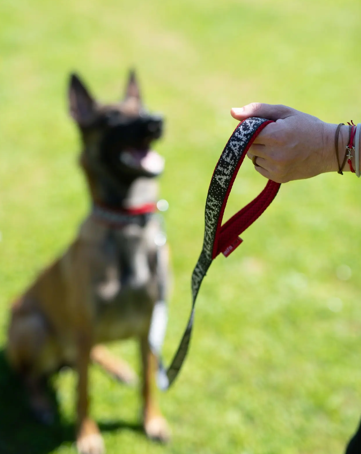 Alfakan kratek povodec