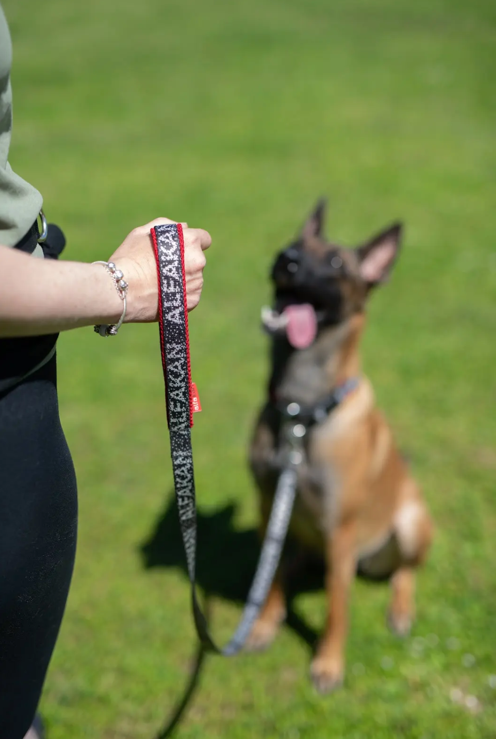 Alfakan kratek povodec